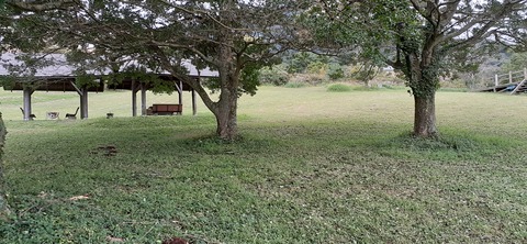 177-162(19-19)HGP南阿蘇OSCAMP1009_123107