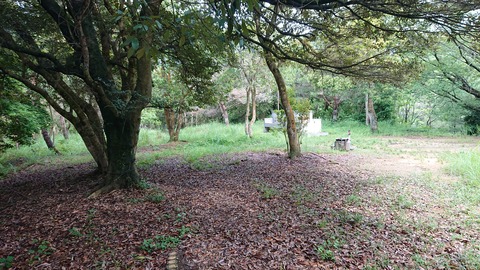 49-39物見山総合公園356S
