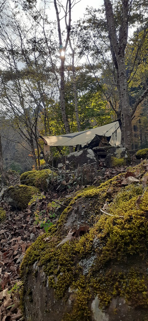 182-166(24-23)牧の原キャンプ場2回目1112_140141