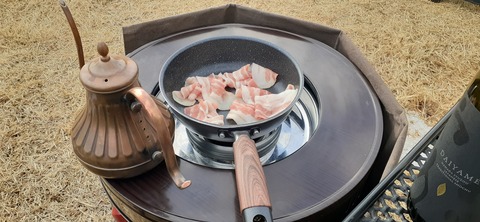 247-228(36-33)ゴンドーシャロレー11泊目127_152610