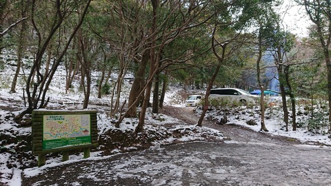 81-67(36-31)深坂自然の森288