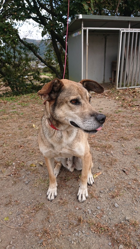 123-108(22-22)カナディアンビレッジ992