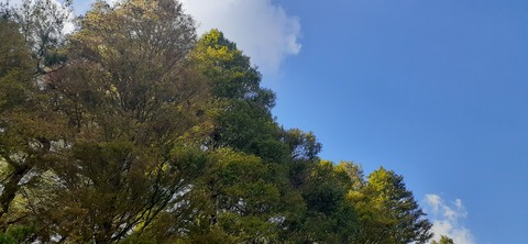 234-217(23-22)広川原キャンプ場1028_130851