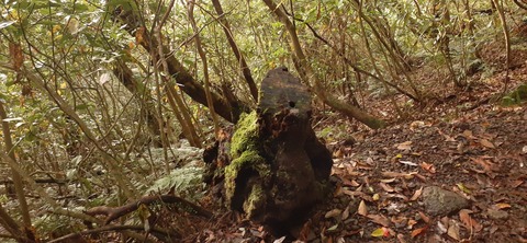 257-238(46-43)開聞岳428_071536