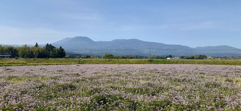 208-192(50-49)奥霧島御池キャンプ村502_082544