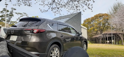 203-187(45-44)長崎鼻リゾートキャンプ場402_093801R