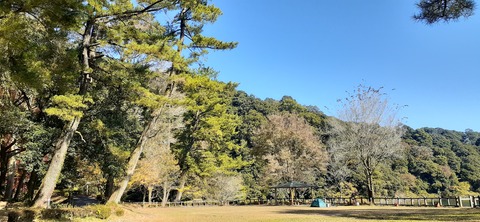 241-224(30-29)奥霧島御池キャンプ場②1125_105400