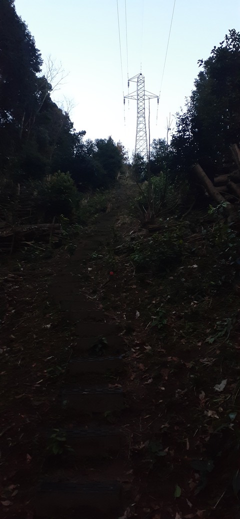 251-232(40-37)大坂山障子ヶ岳218_064819