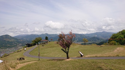 96-81(51-45)伐株山憩いの森574