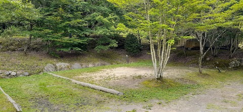 216-200(5-5)山鳥の森623_132237