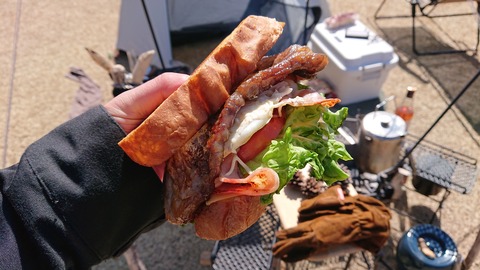 38-30ゴンドーシャロレー➄79S