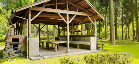 211-195(53-52)猿ヶ城キャンプ場505_130315