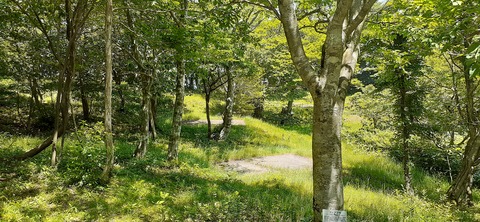 164-149(6-6)長野山緑地公園702_112157