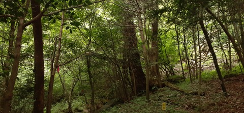 227-210(16-15)スノーピーク奥日田902_134807