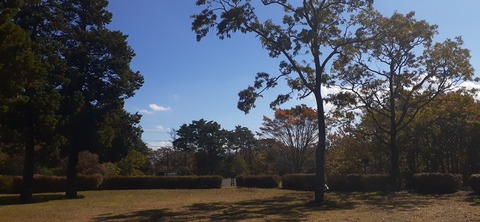 180-164(22-21)久住高原Ｈ天空の大地1103_121756