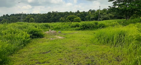 167-152(9-9)久住星群れキャンプ場723_123302