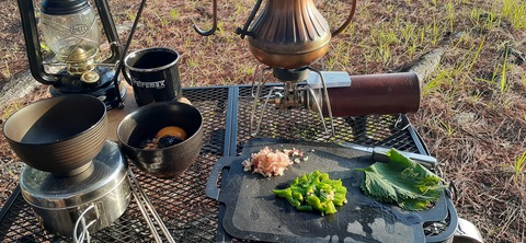 161-146(3-3)来浦キャンプ場612_061604