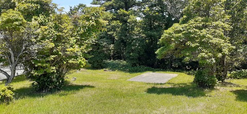 164-149(6-6)長野山緑地公園702_112120