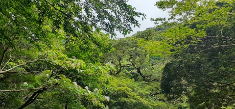 258-239(47-44)オーシャンビュー429_140004