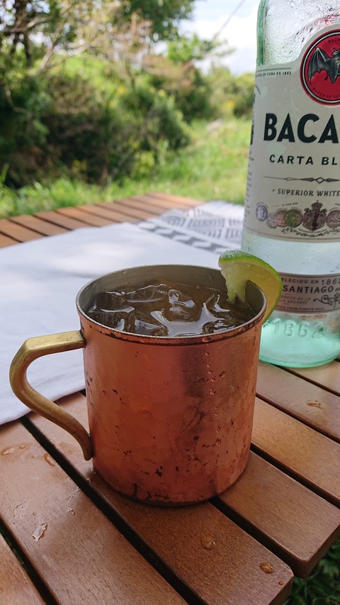 110-95(9-9)高原の里95