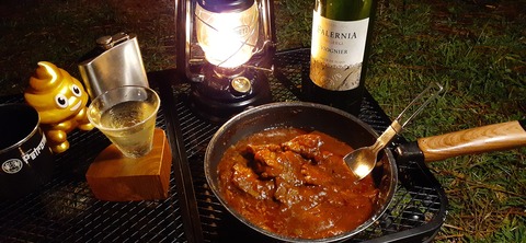 177-162(19-19)HGP南阿蘇OSCAMP1009_192742