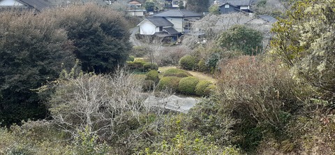 244-227(33-32)佐藤家つつじ園1230_134231