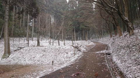 78-63(33-29)北山キャンプ場70S