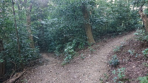 120-105(19-19)小文字山テン泊560S