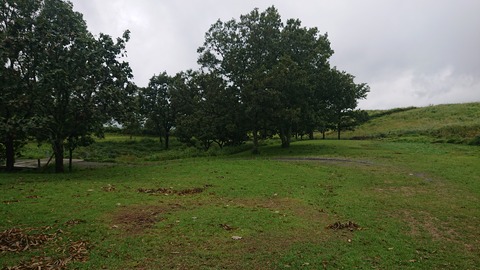 59-48(14-12)瀬の本高原オートキャンプ場406S