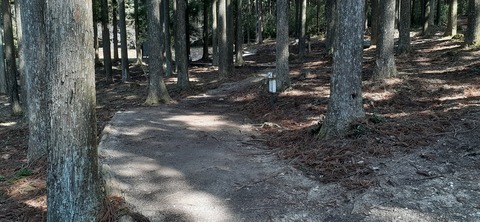 199-183(41-40)山中キャンプ場311_112920