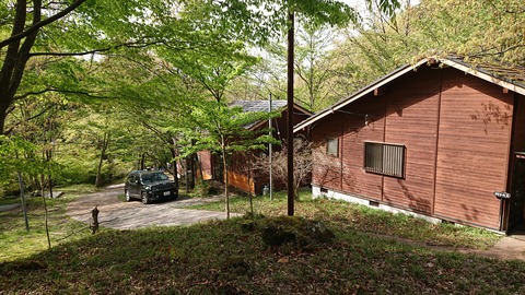 96-81(51-45)伐株山憩いの森609