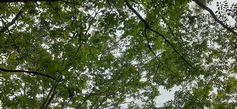 214-198(3-3)オートキャンプ竜門604_105337