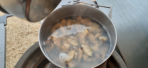 194-178(36-35)ゴンドーシャロレー⑨211_152334