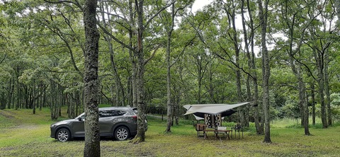 172-157(14-14)くじゅう自然動物園903_123357R