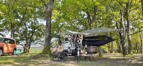 207-191(49-48)津志田河川公園乙女河原501_141829