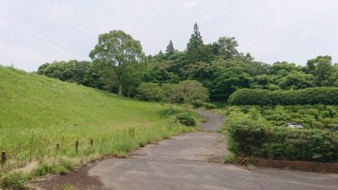 49-39物見山総合公園380S
