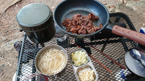 29-22昭和の森猫石サイト1067S