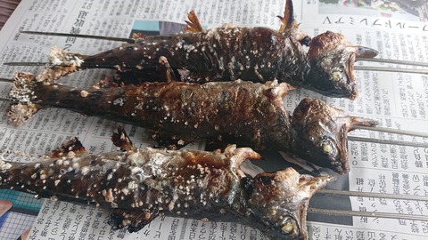 109-94(8-8)スパージュ7941