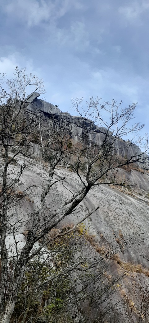 236-219(25-24)大崩山1104_135502