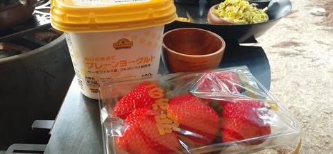 199-183(41-40)山中キャンプ場311_164449