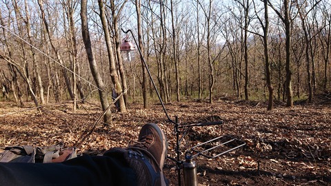 126-111(25-25)CAMP✕WOODS392