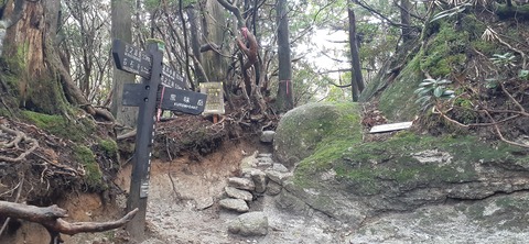 260-241(49-46)宮之浦岳淀川小屋501_165211