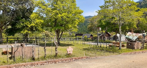 155-140(54-54)うめキャンプ村504_132605