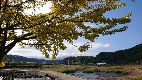 67-54(22-18)辻河原公園キャンプ場173S