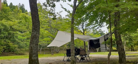 216-200(5-5)山鳥の森623_142958