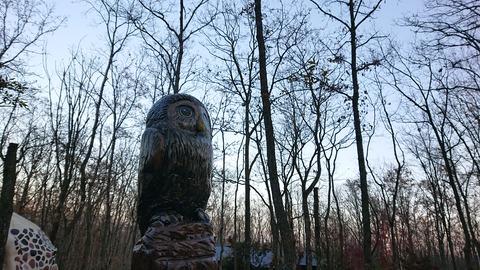 126-111(25-25)CAMP✕WOODS404