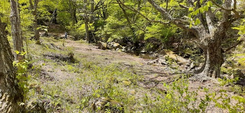 153-138(52-52)マゼノ 甲の瀬キャンプ村430_114355