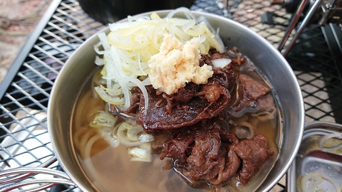 29-22昭和の森猫石サイト1070S