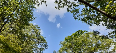 158-143(57-57)陽目の里キャンピングパーク507_143559