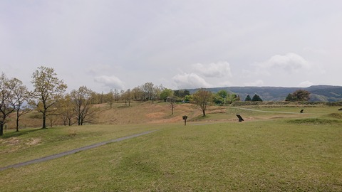 96-81(51-45)伐株山憩いの森582